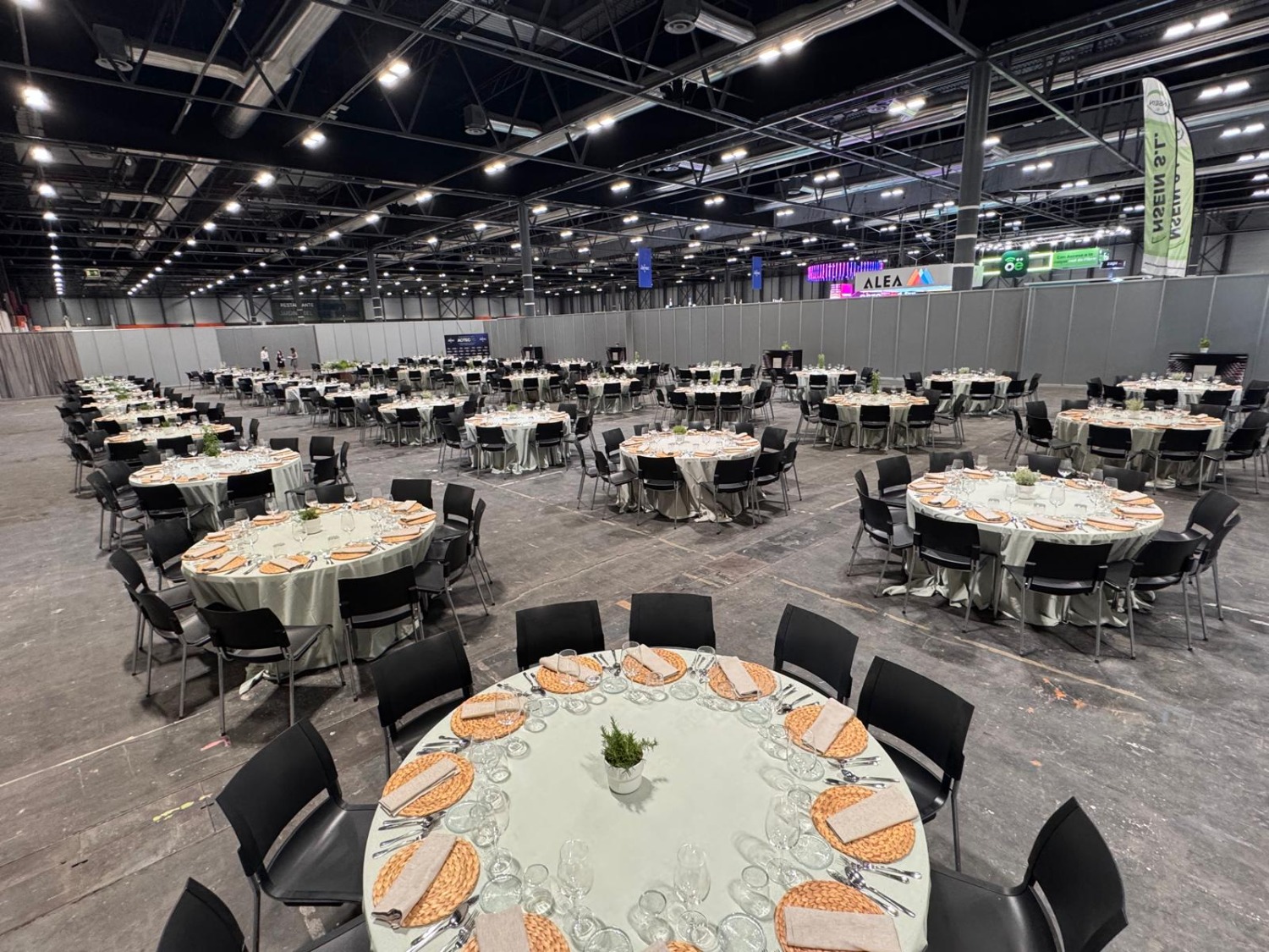 Contacta con nosotros